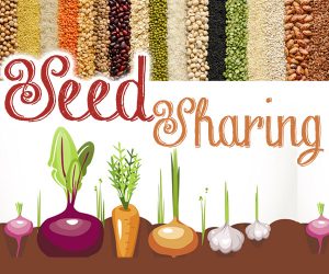 Seed sharing