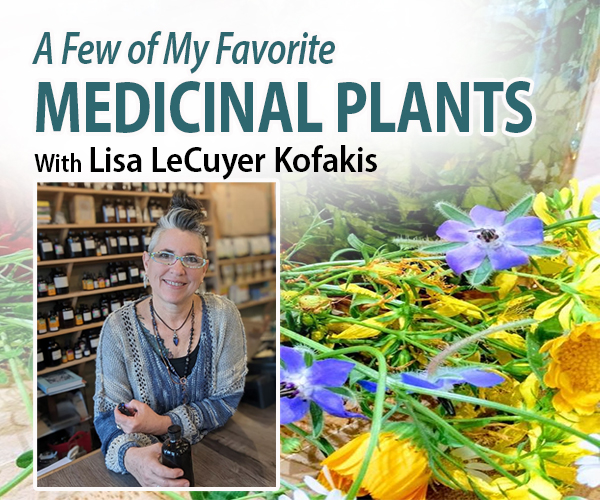 A Few of My Favorite Medicinal Plants