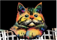 Multi colored cat design on scratch board.